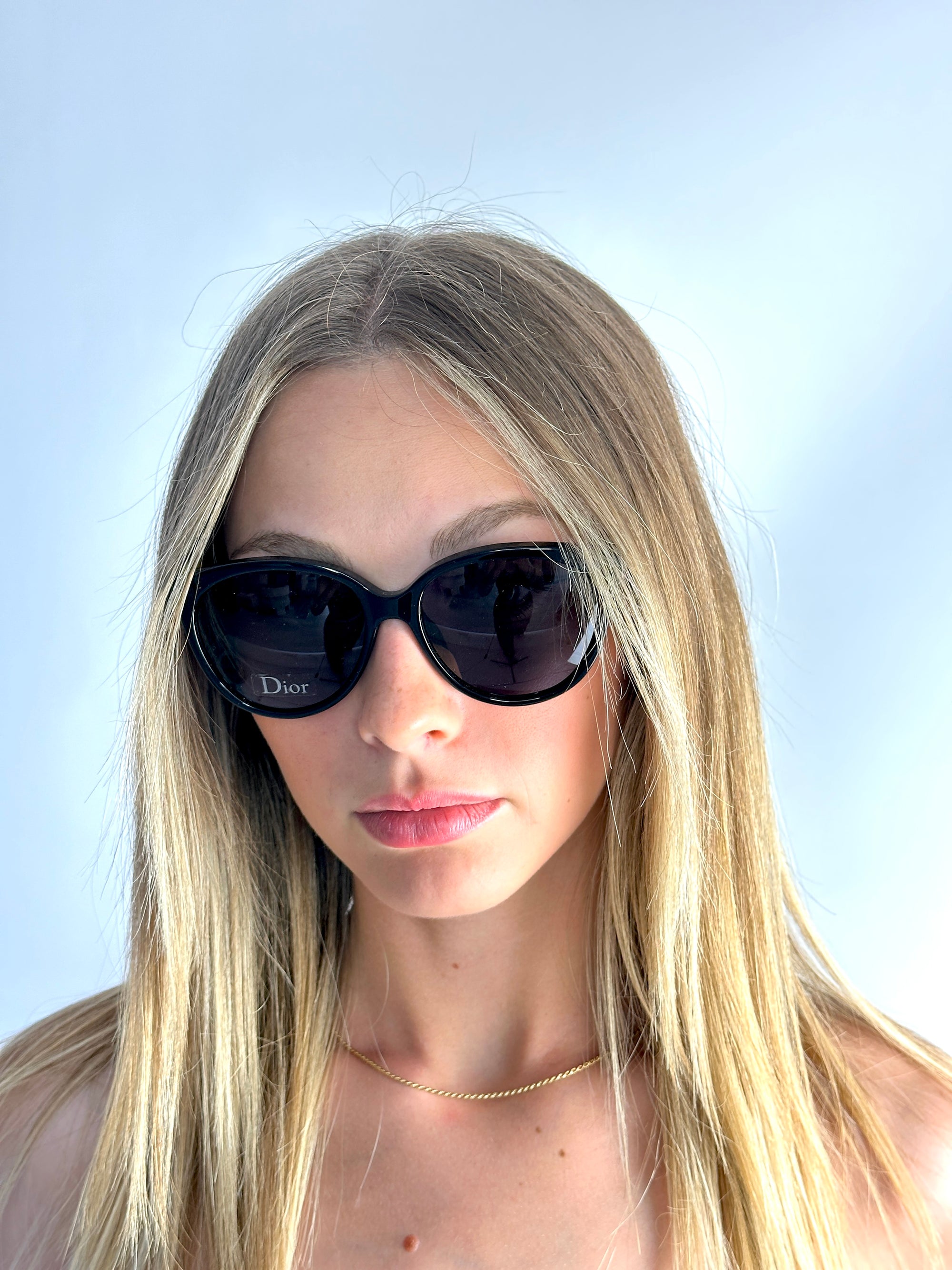 DIOR DIORENVOL3 LVG/BN BK PK BK YLL sunglasses