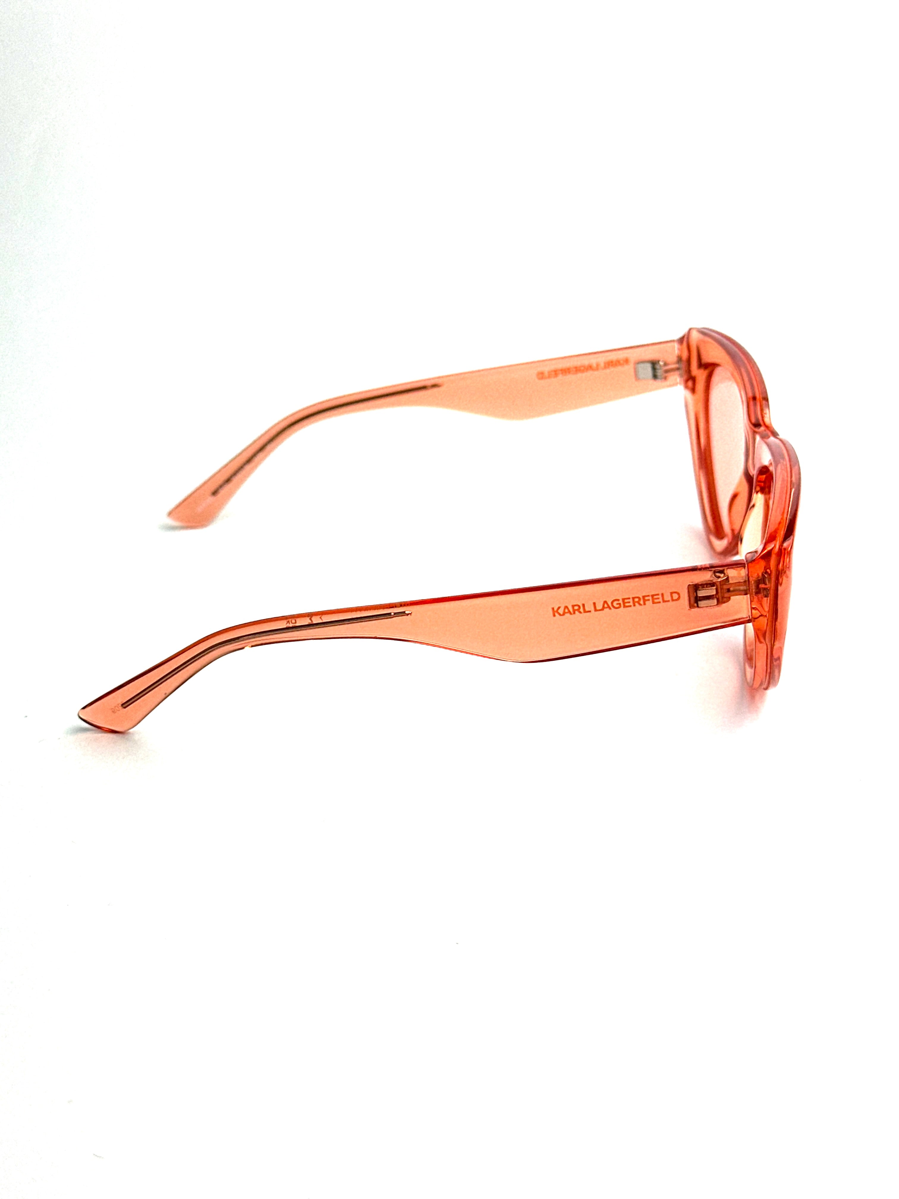 Occhiali da sole KARL LAGERFELD KL6100S