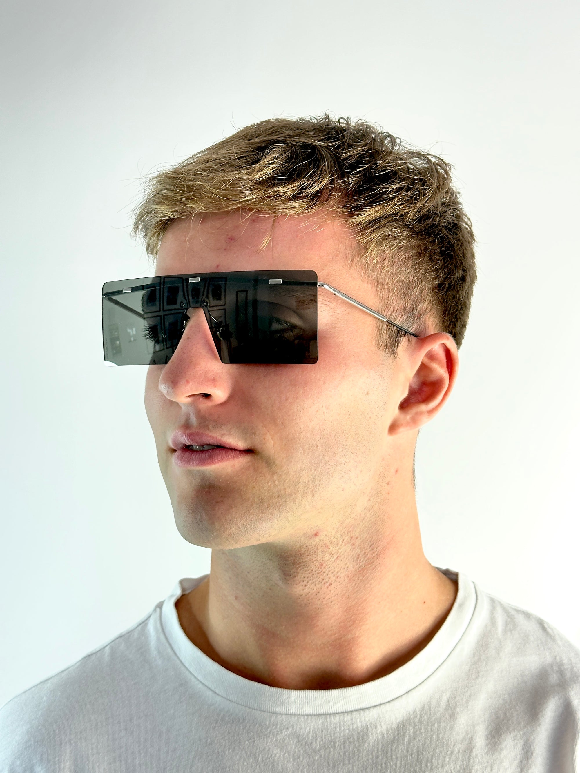 sunglasses DIOR HARDIOR 010/0T PALLADIUM