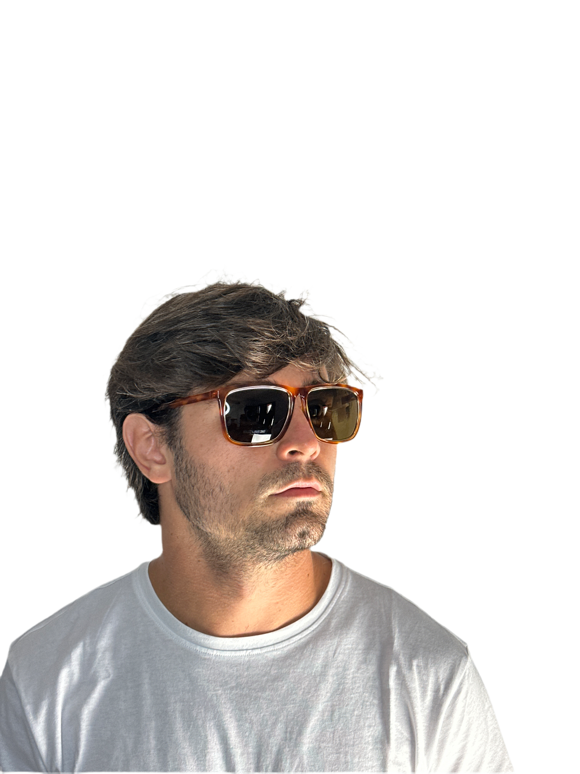 SAINT LAURENT 919EC HAVANA