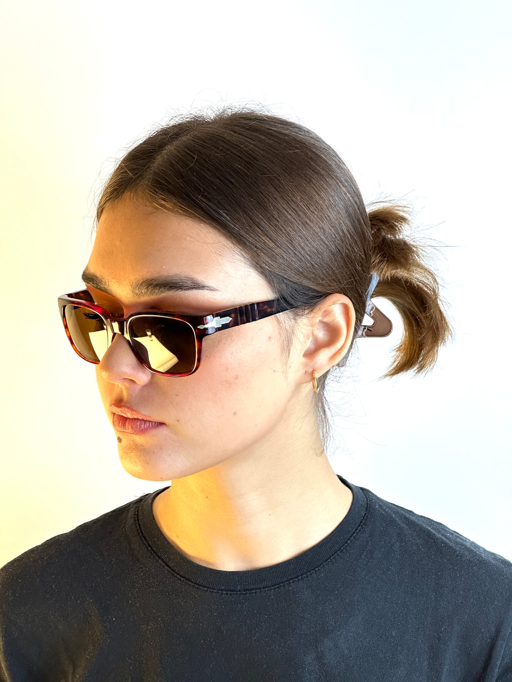 Occhiali da sole PERSOL FRAME 2515V VINTAGE