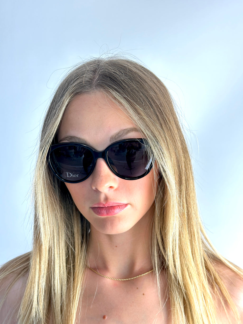 DIOR DIORENVOL3 LVG/BN BK PK BK YLL sunglasses