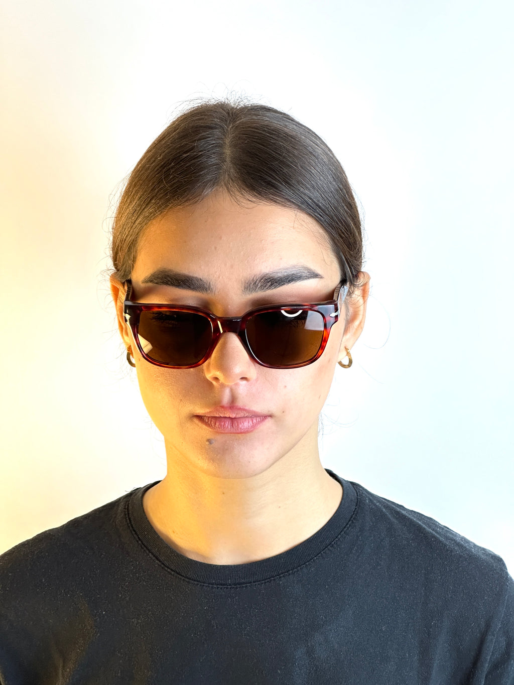 Occhiali da sole PERSOL FRAME 2515V VINTAGE