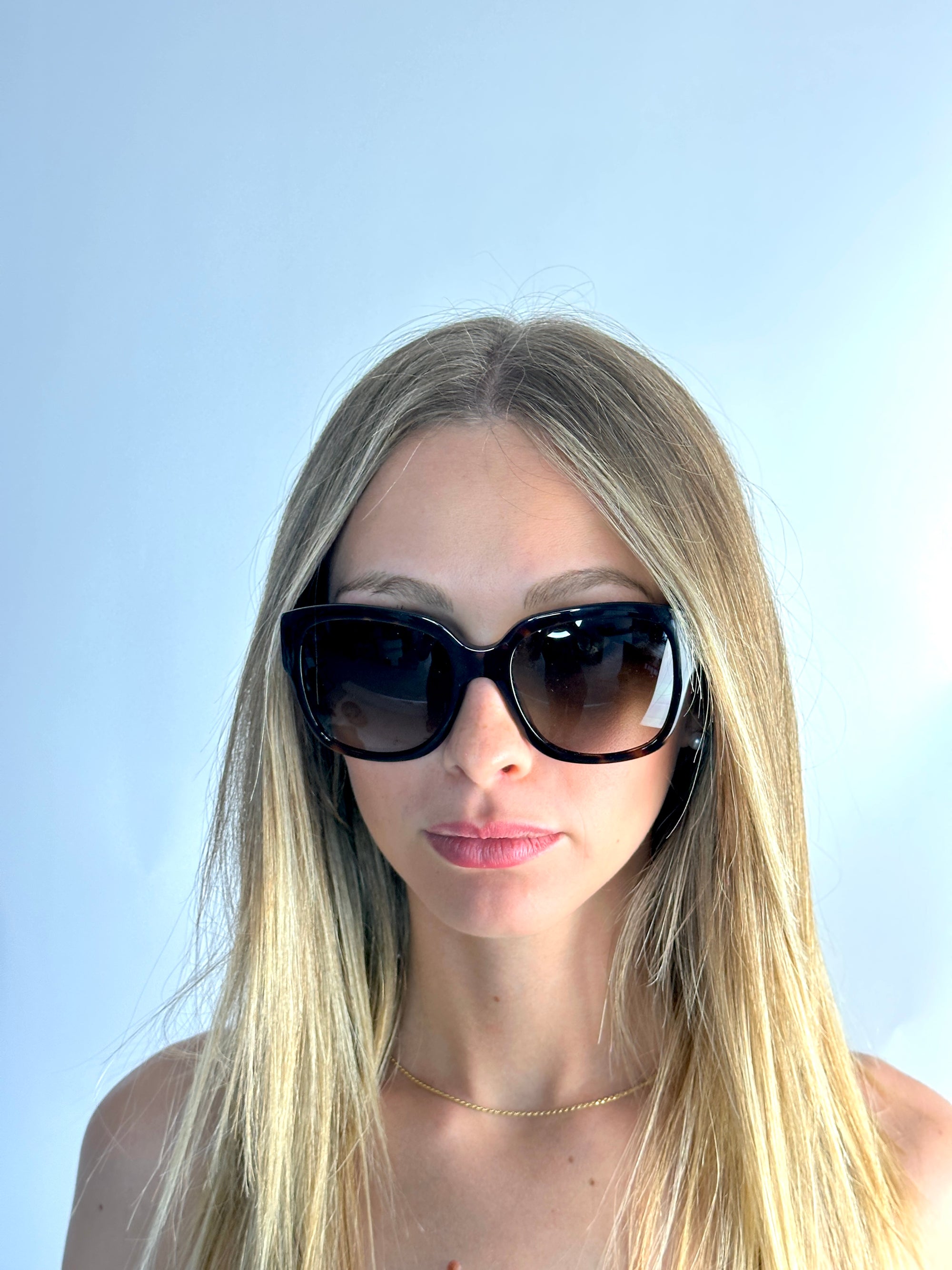 DIOR DIORFLANELLE2 sunglasses