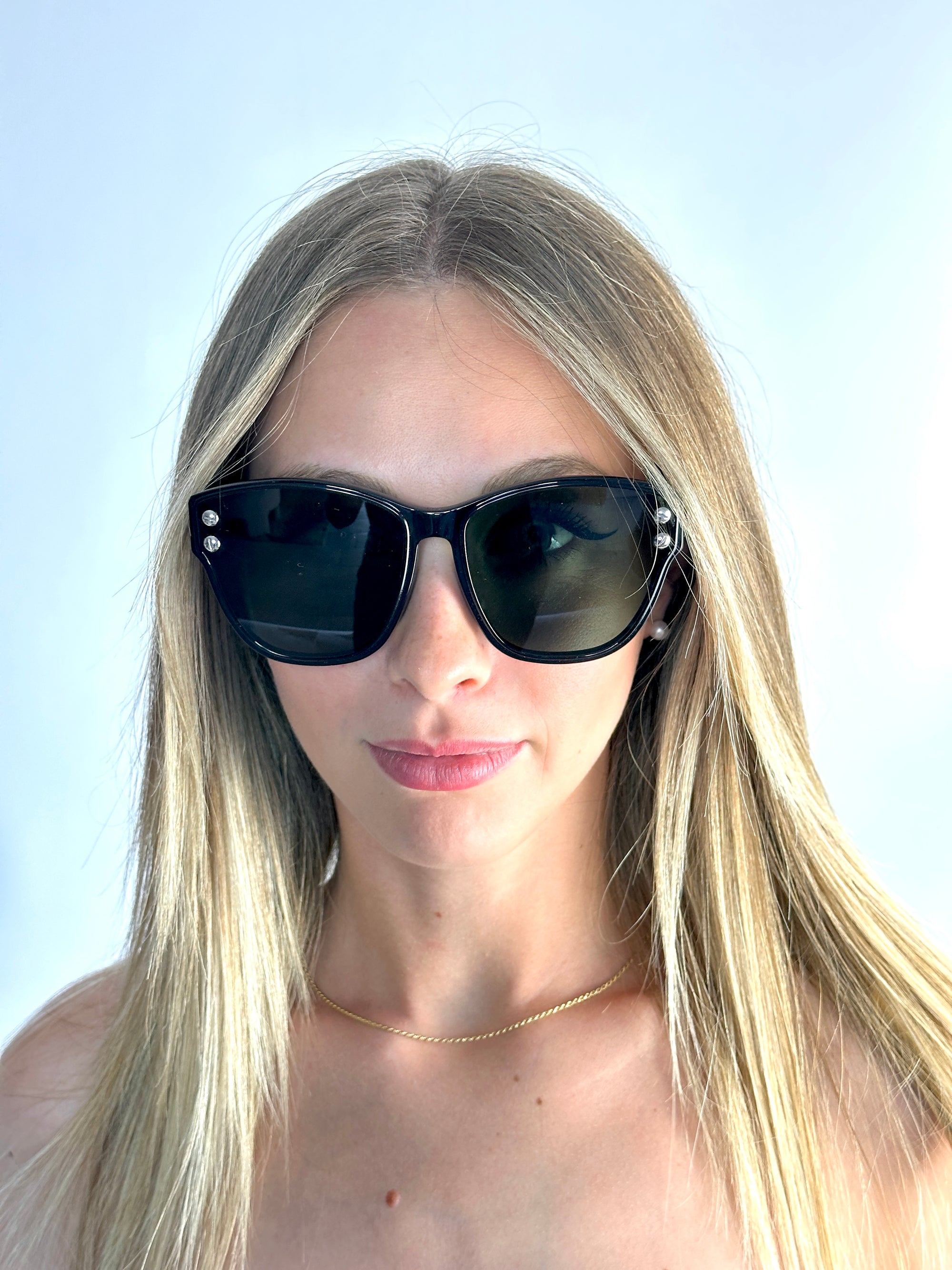 DIOR DIORADDICT3F BLACK sunglasses