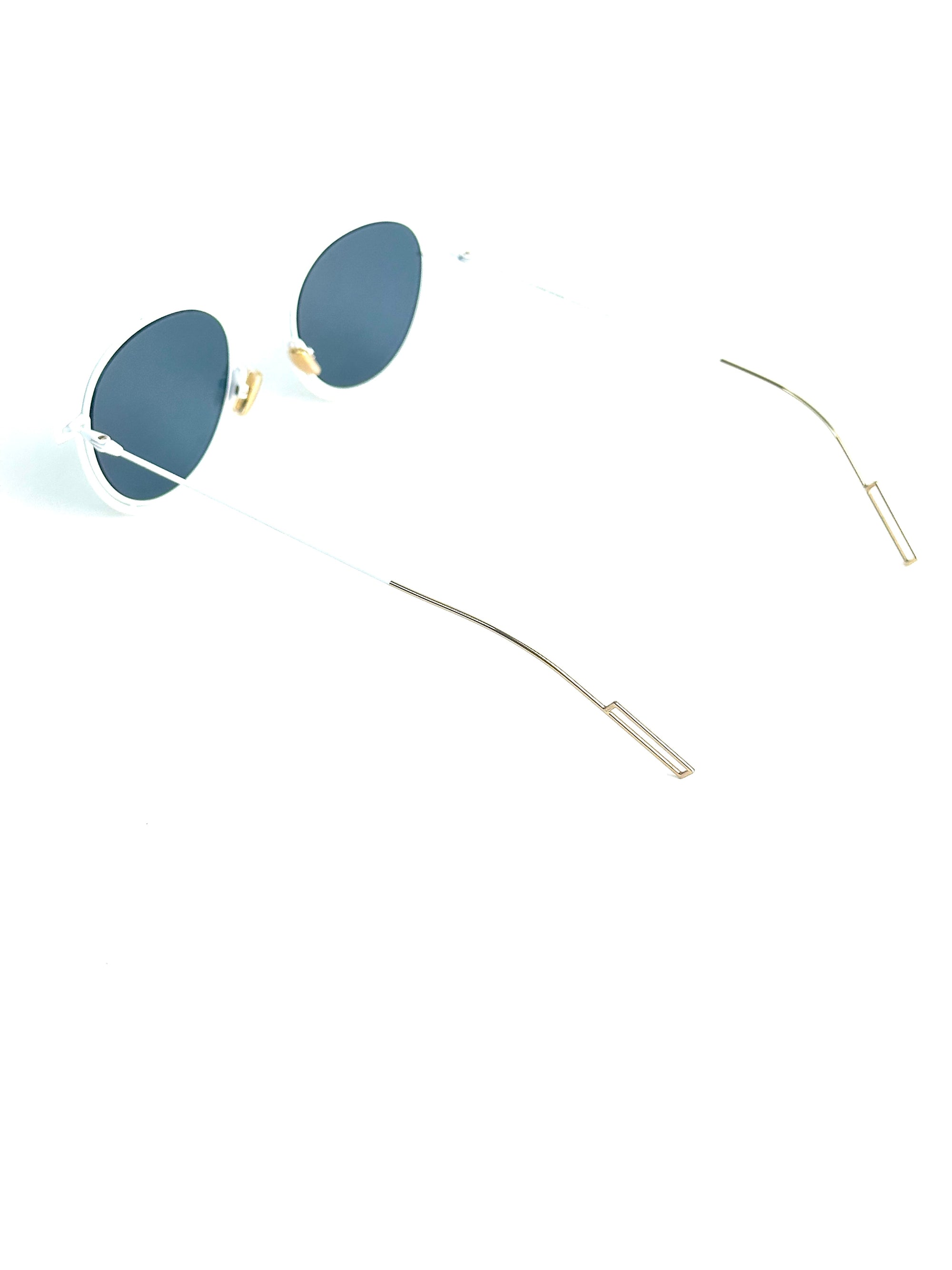 DIOR MEN'S DIOR0210S 2C9/MV MATTE WHITE sunglasses