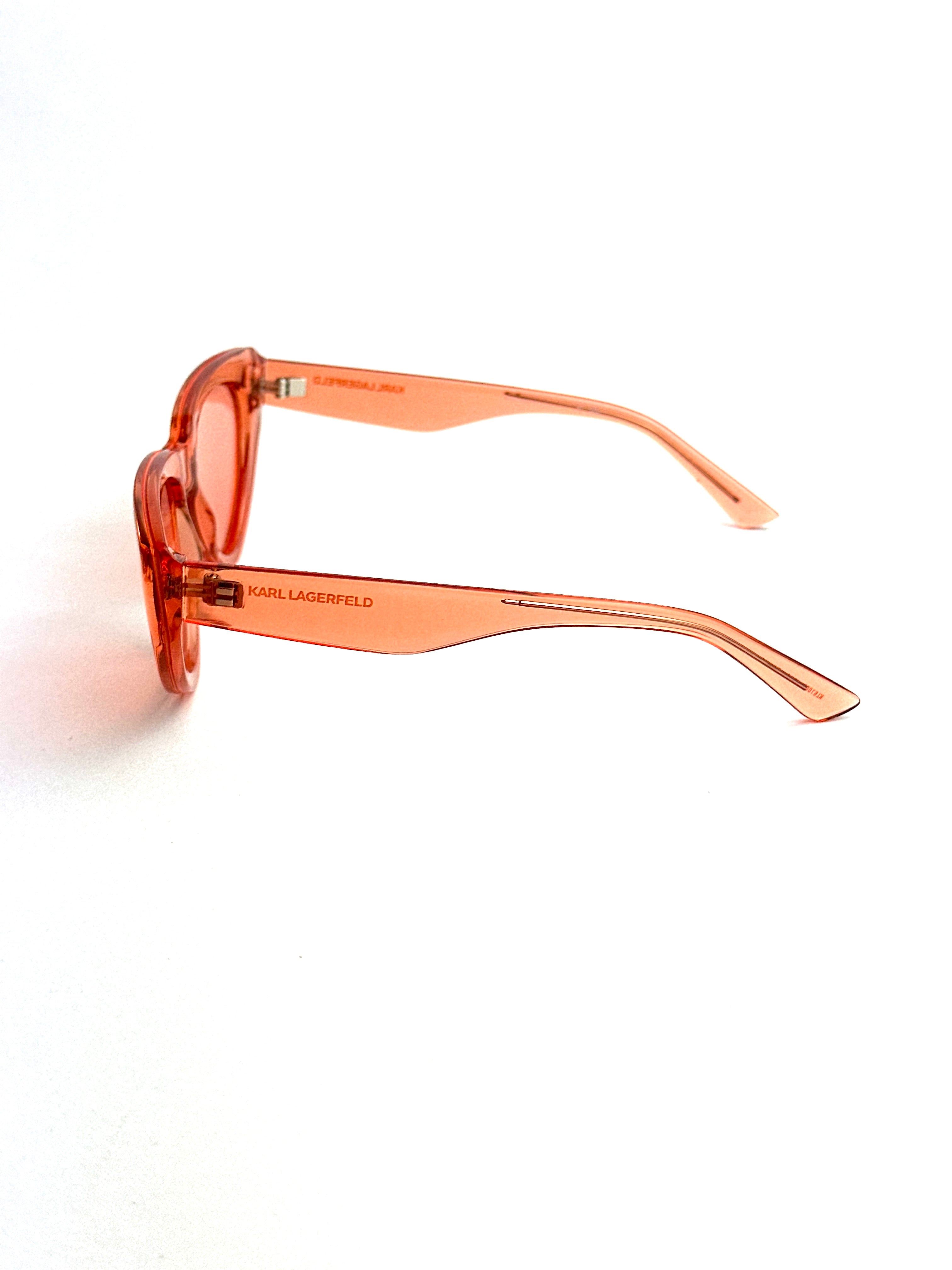 Occhiali da sole KARL LAGERFELD KL6100S