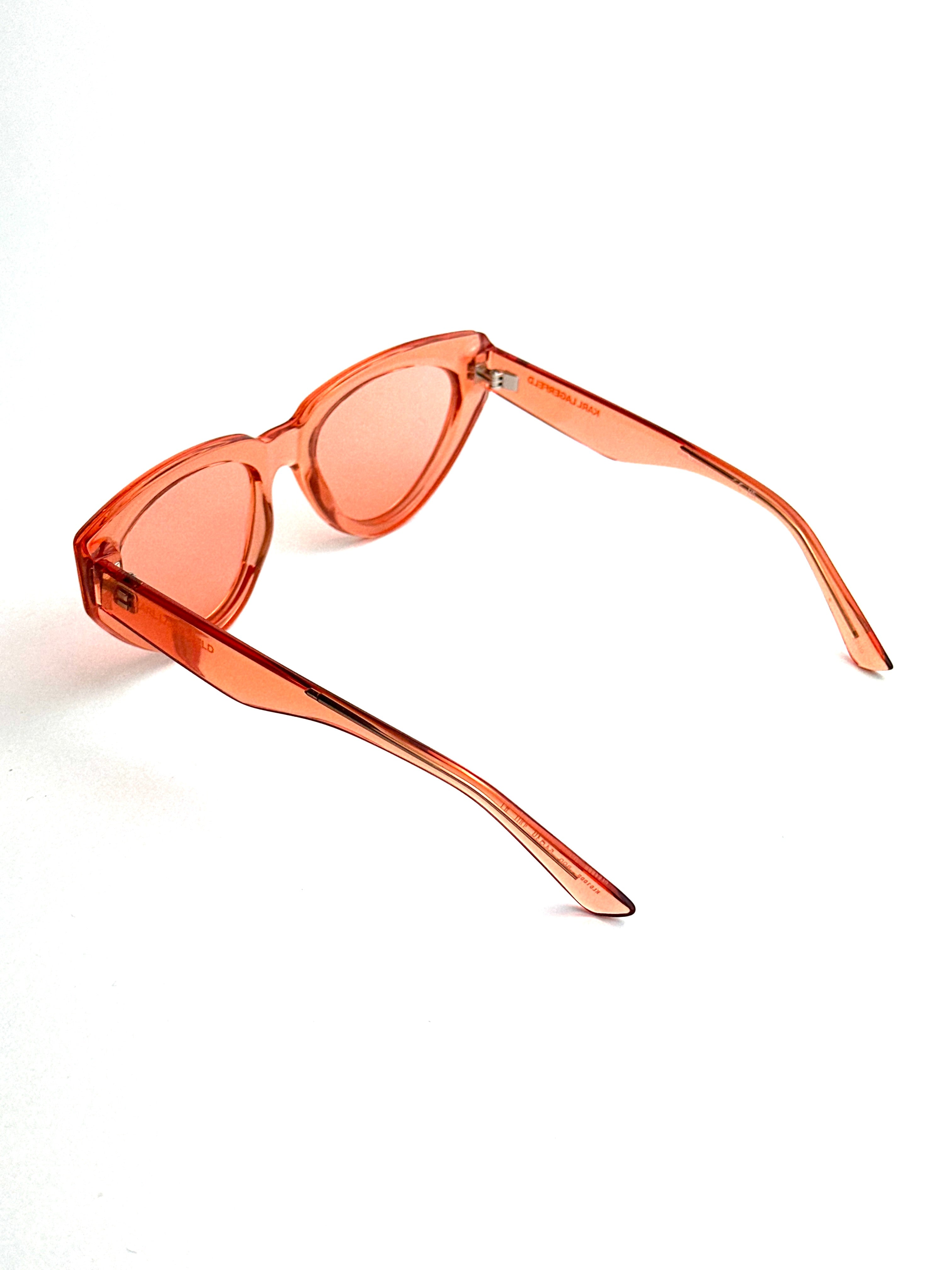 Occhiali da sole KARL LAGERFELD KL6100S