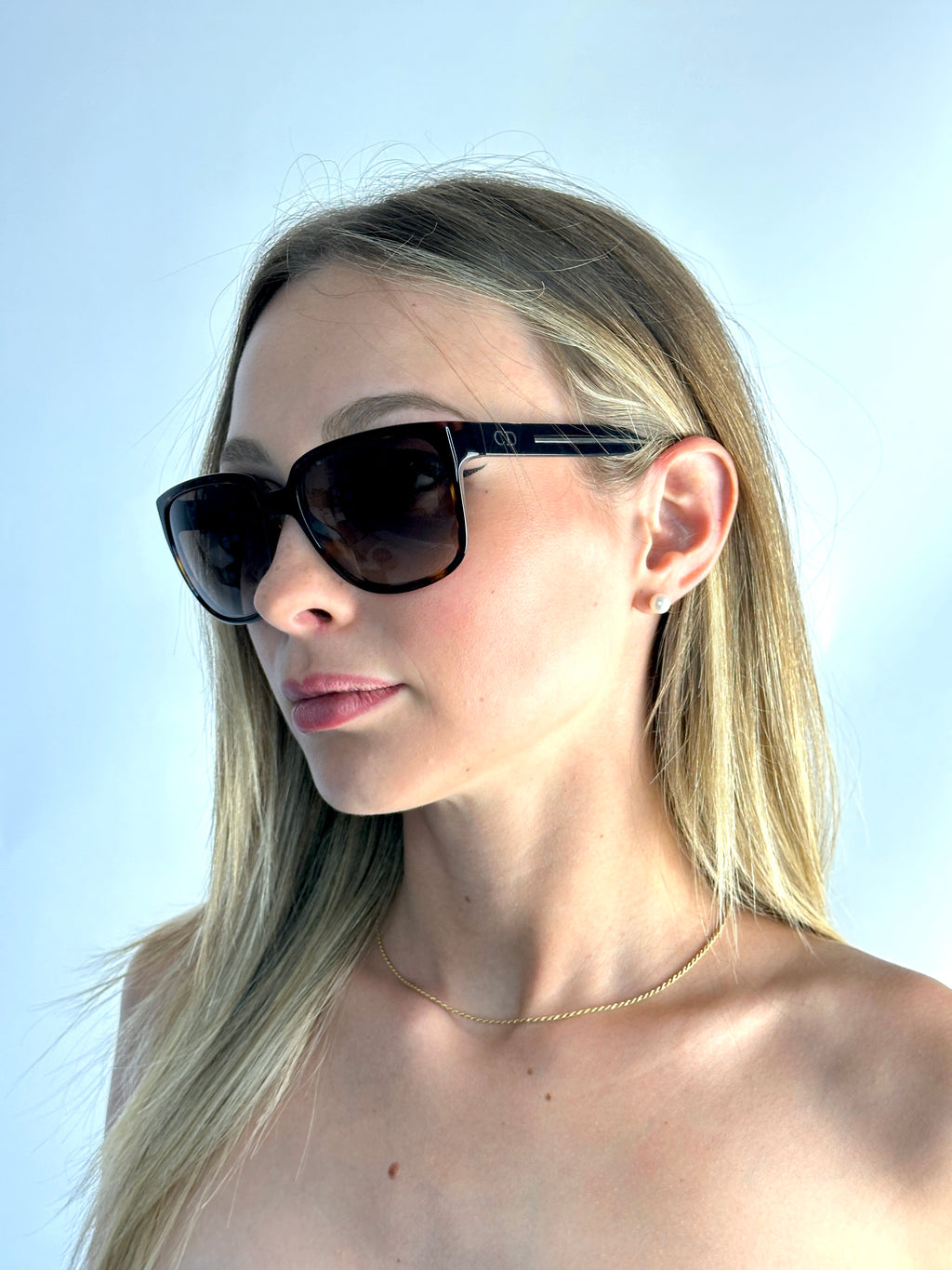 DIOR BLACKTIE 146S AM6/HA DKHAVABL sunglasses