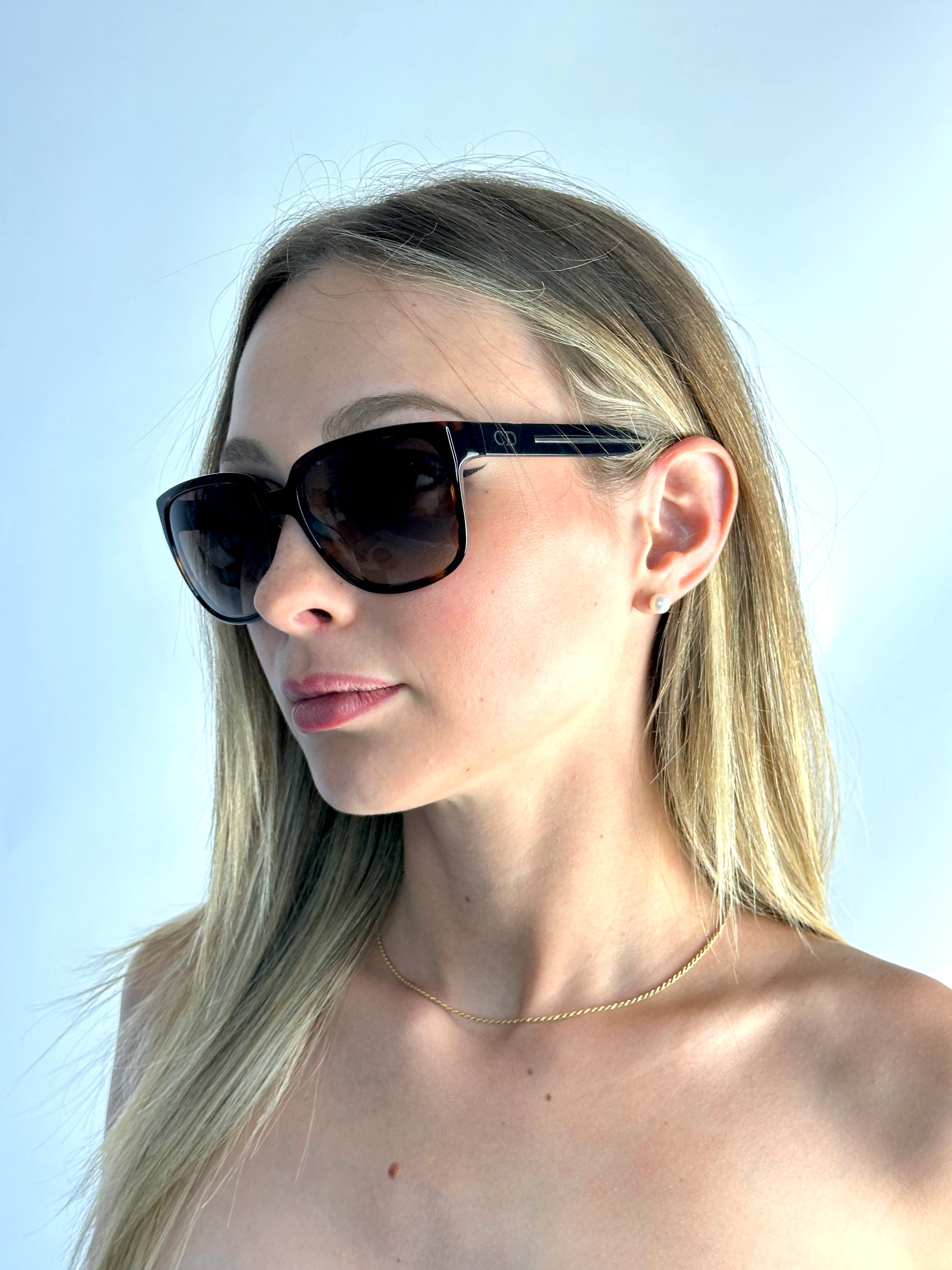 DIOR BLACKTIE 146S AM6/HA DKHAVABL sunglasses